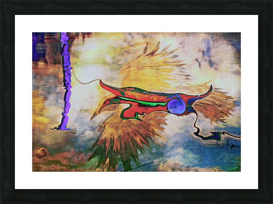 floating on a ravens back Picture Frame print