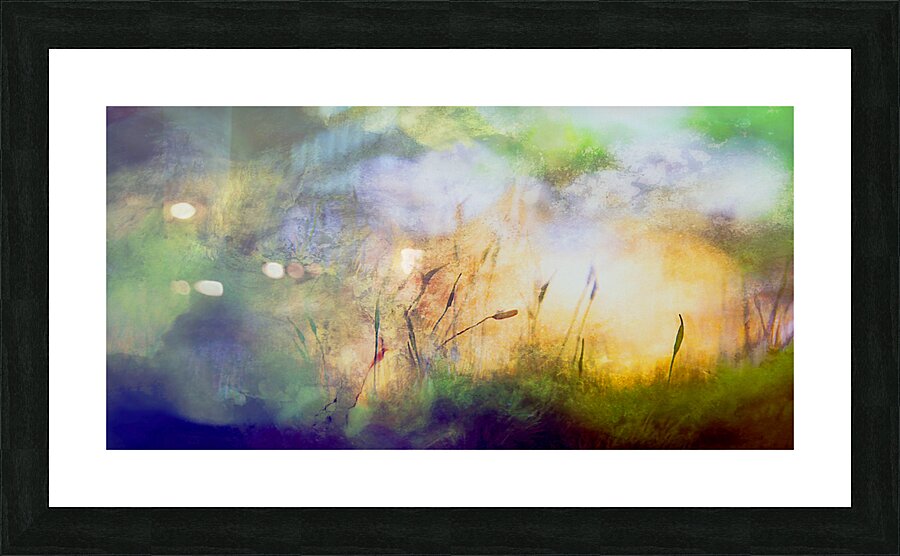 early bird Picture Frame print