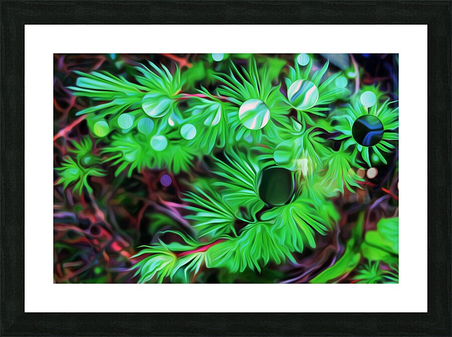 the black pearl of grose morne Picture Frame print