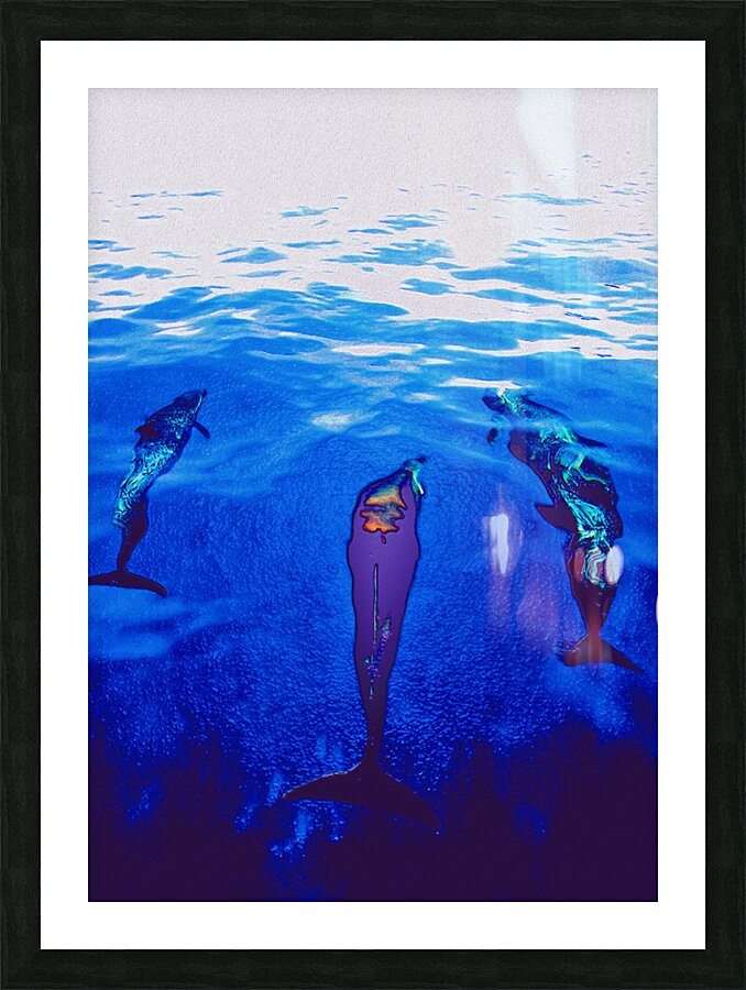 bow pod Picture Frame print