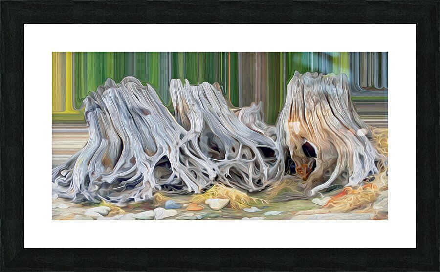 roots heart rocks and a fox Picture Frame print