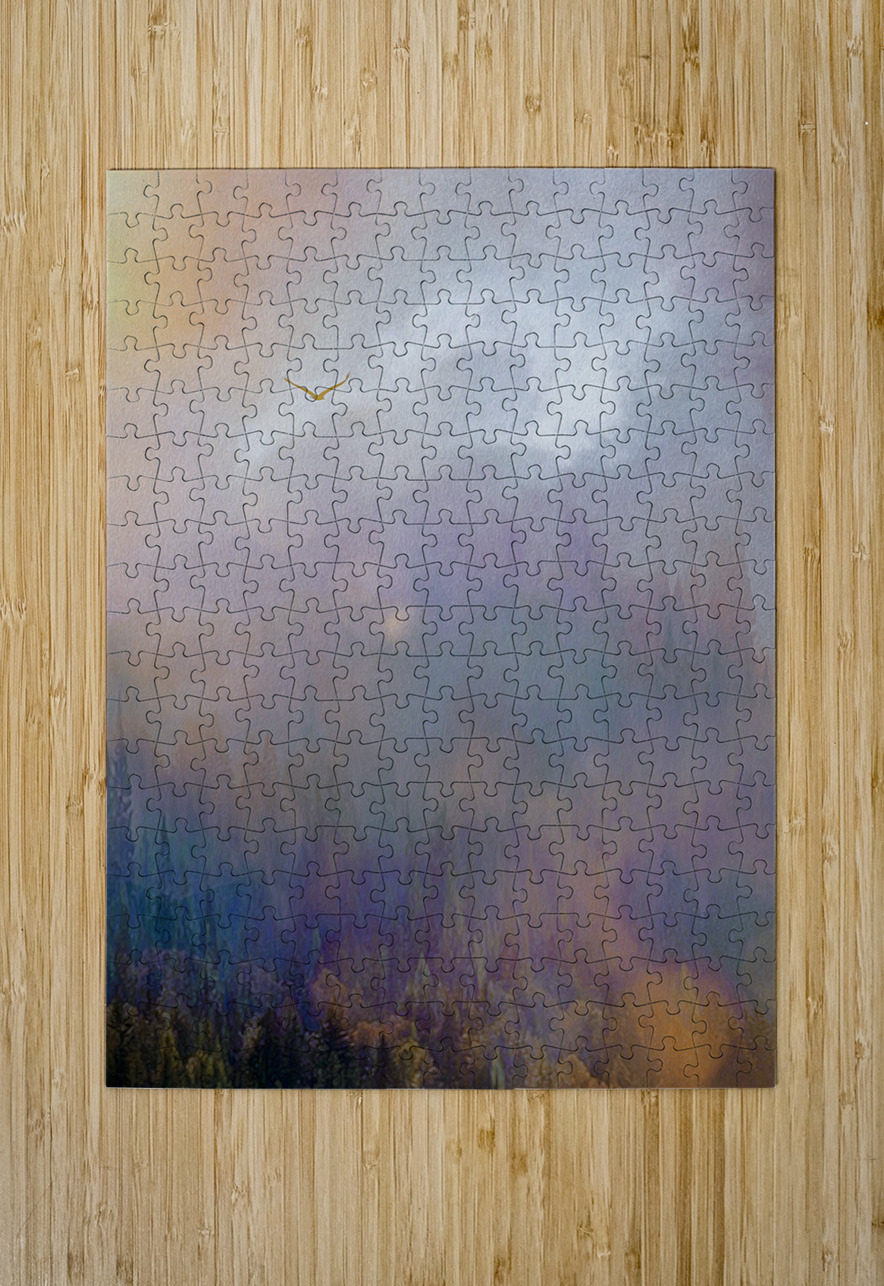 into the mystic shawn morris creative Puzzle printing