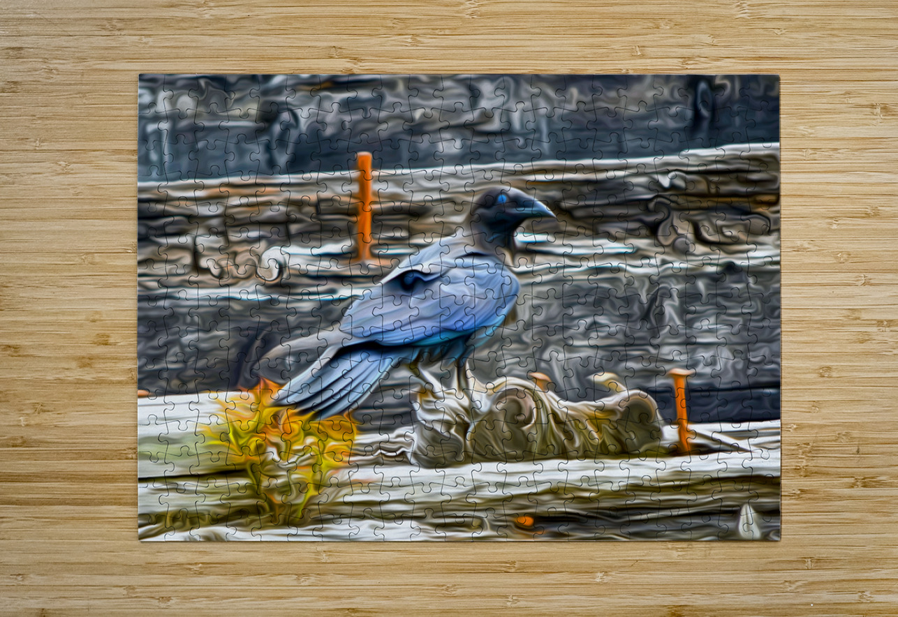 tricksters and shape shifters shawn morris creative Puzzle printing