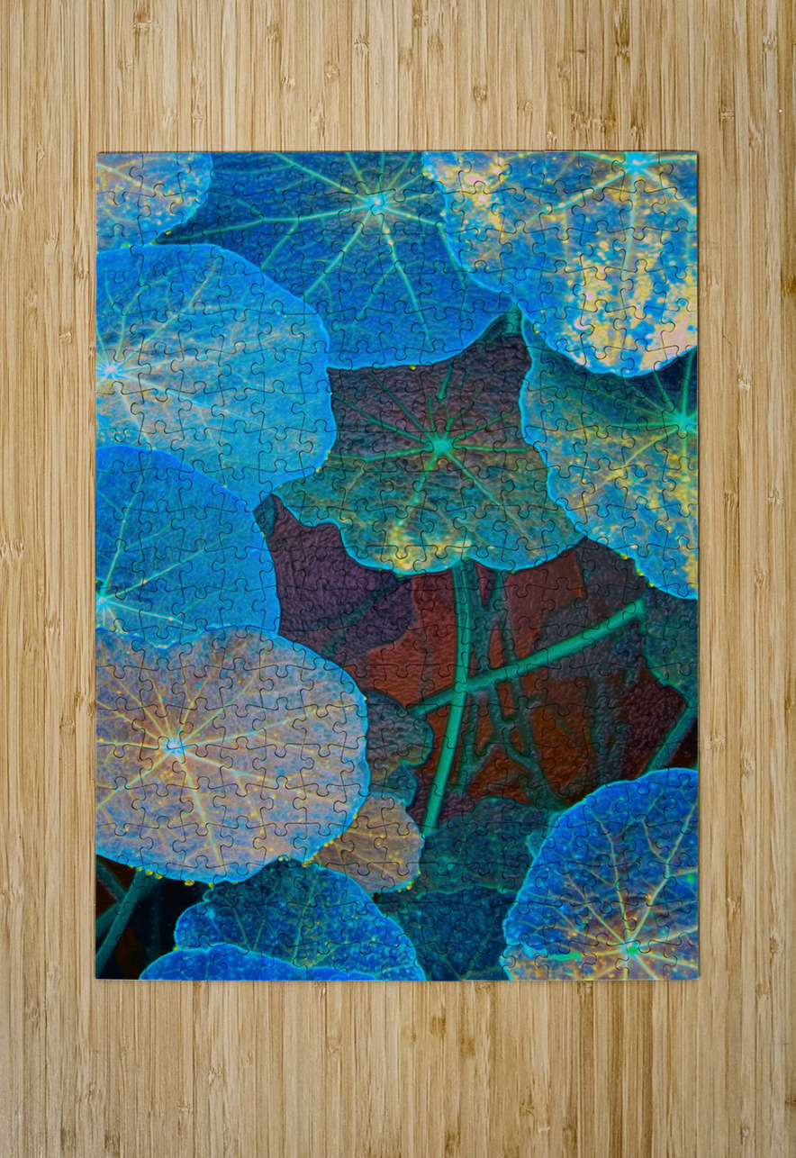 avatar star fowers shawn morris creative Puzzle printing