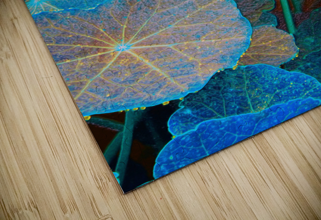 avatar star fowers shawn morris creative Puzzle