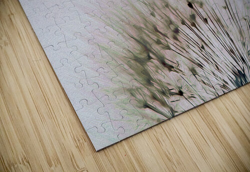 fly away with me shawn morris creative puzzle