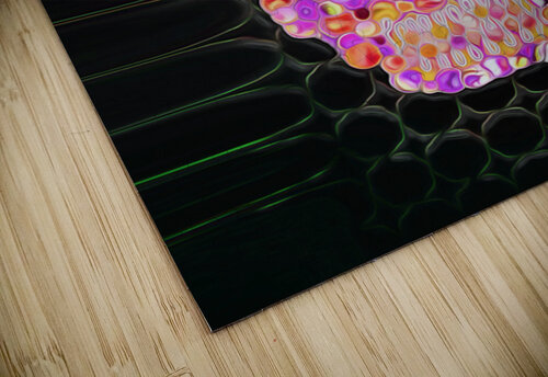 sun blistered shawn morris creative puzzle