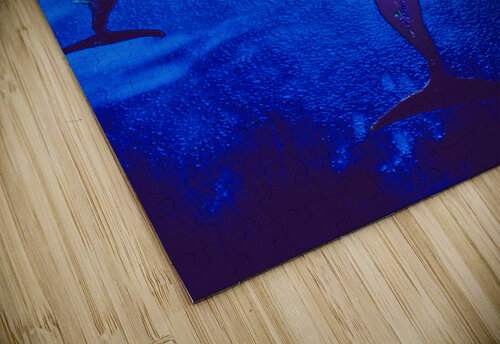 bow pod shawn morris creative puzzle