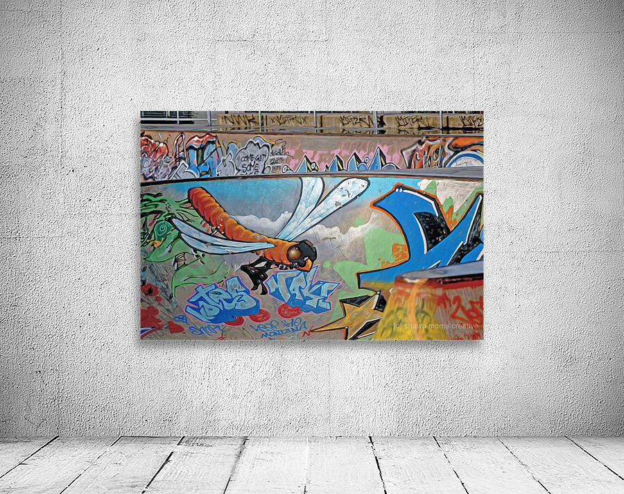 hastings bowl fly Wall Preview