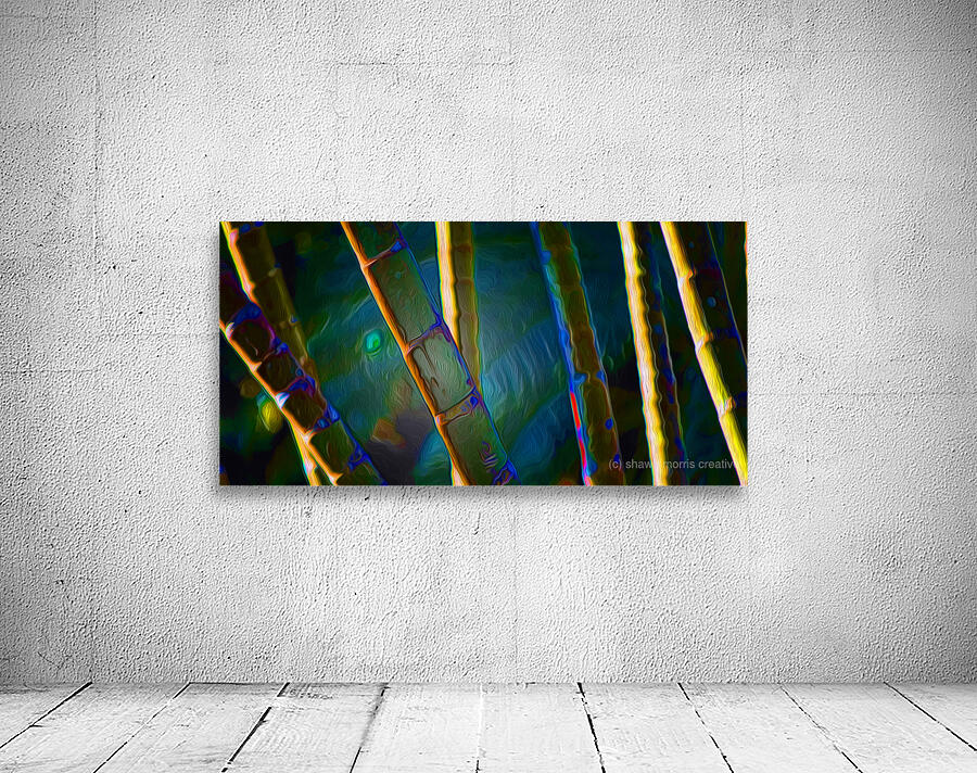 Bamboozled Wall Preview