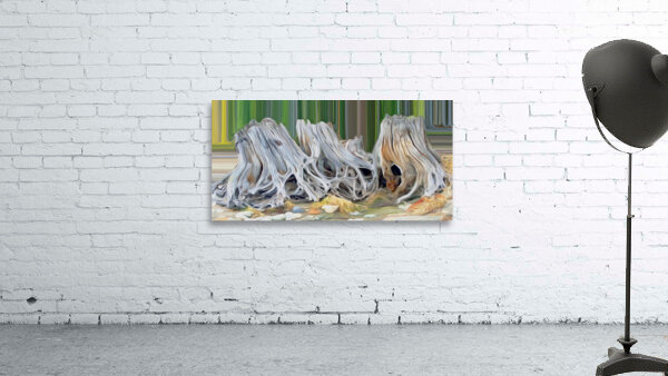 roots heart rocks and a fox Wall Preview