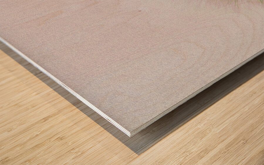 fly away with me Wood print