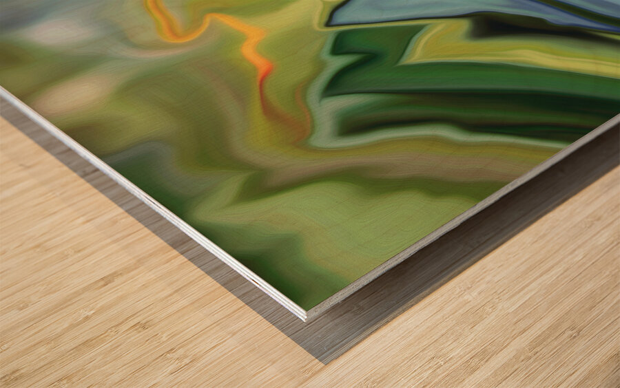 spring in the selkirks Wood print