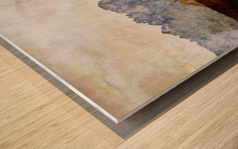 silver spray solo session Wood print