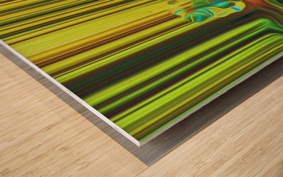 dirt burglar Wood print