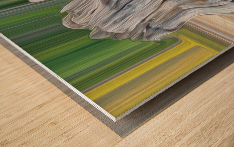 roots heart rocks and a fox Wood print